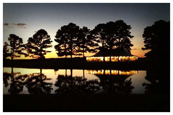 American Rentals Association